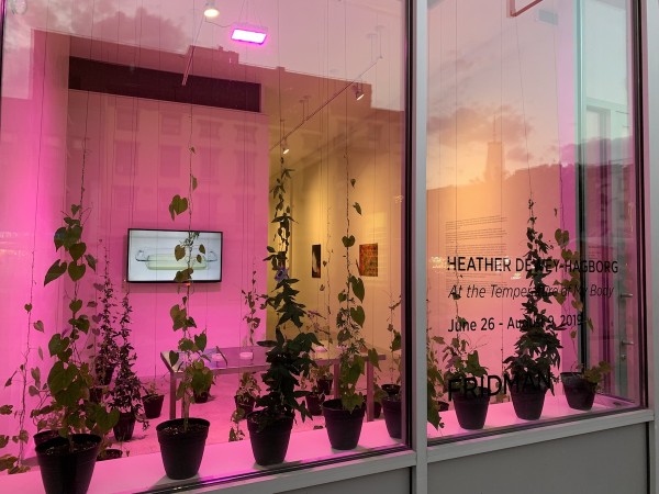 At the Temperature of My Body