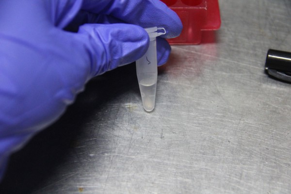 Biopunk: Subverting Biopolitics